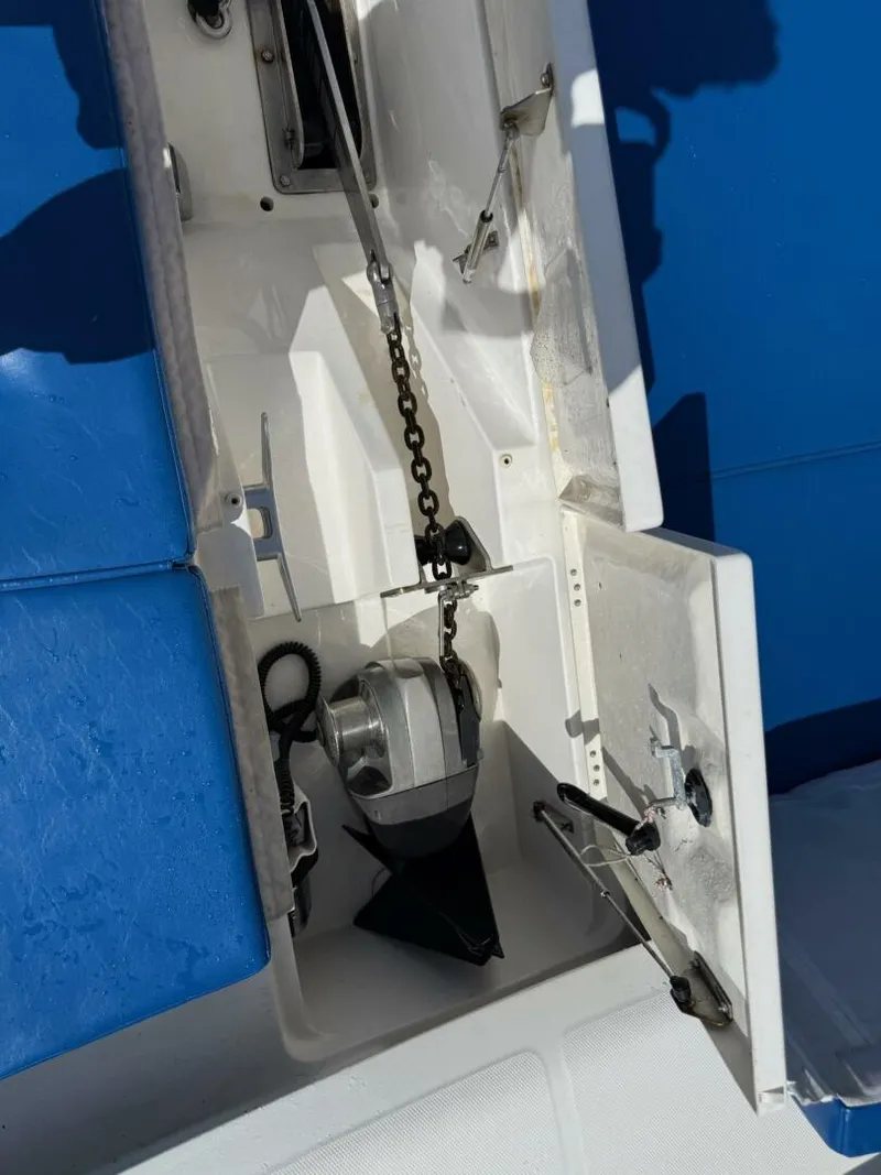 Slide: The Image of Leopard 47 PC Owners' Version 2012 - 5687759