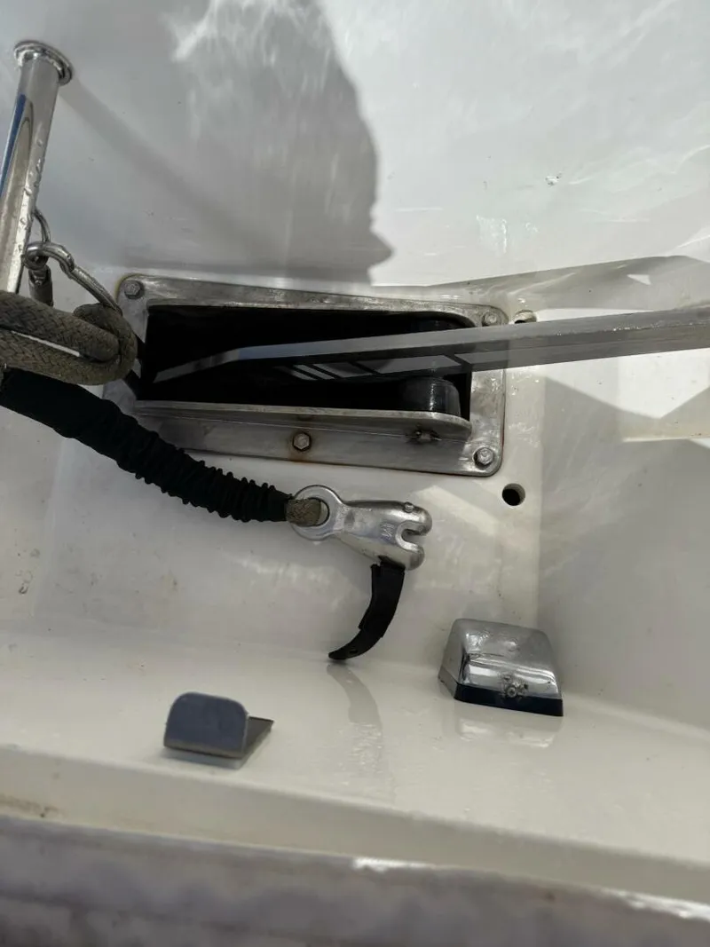 Slide: The Image of Leopard 47 PC Owners' Version 2012 - 5687760