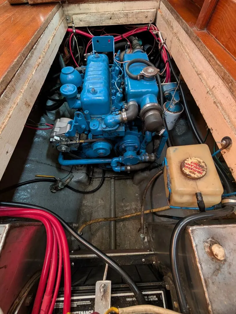 Slide: The Image of Mason 43 1981 - 5689266