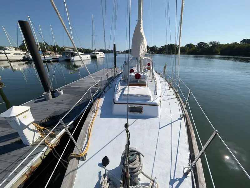 Slide: The Image of Mason 43 1981 - 5689280