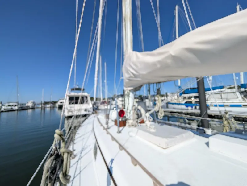 Slide: The Image of Mason 43 1981 - 5689282