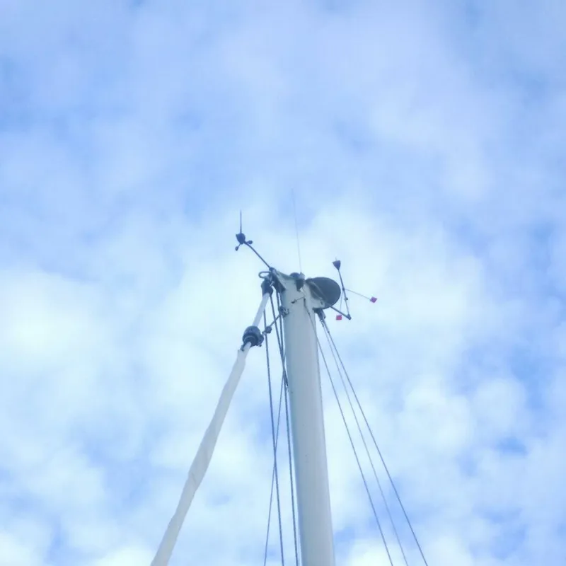 Slide: The Image of Tartan 37 1989 - 5689819