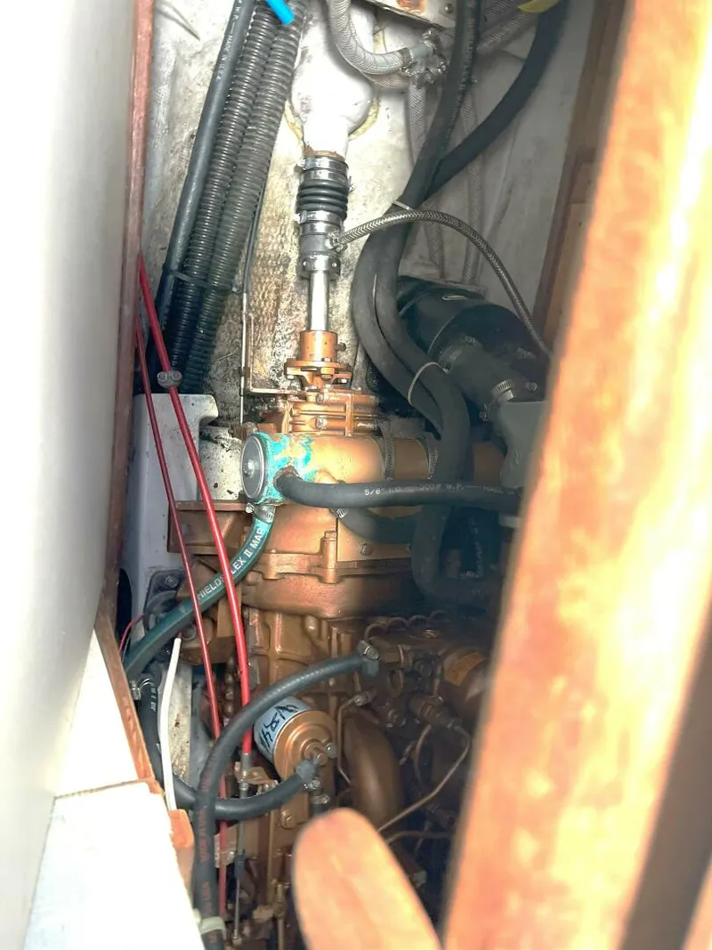 Slide: The Image of Tartan 37 1989 - 5689826