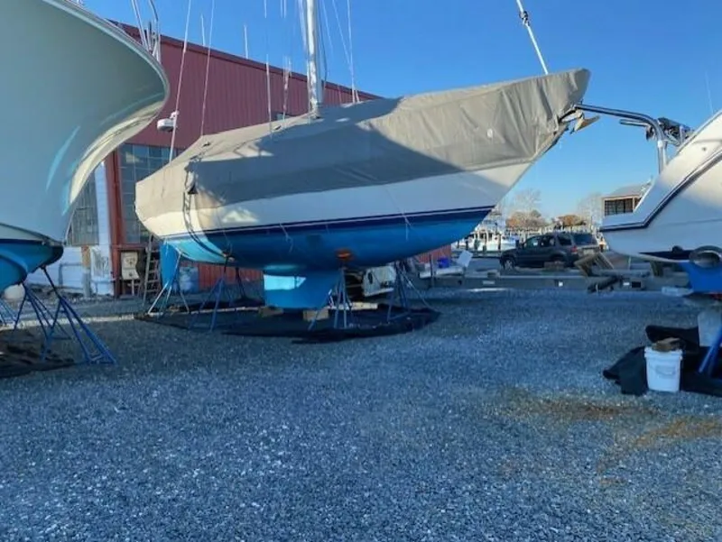 Slide: The Image of Tartan 37 1989 - 5689803