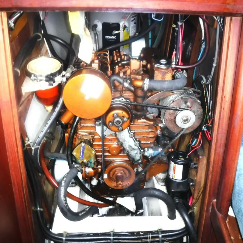 Slide: The Image of Tartan 37 1989 - 5689856