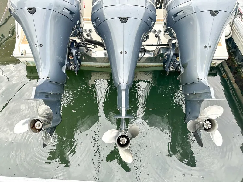 Slide: The Image of Cobia 344 CC 2015 - 5690455