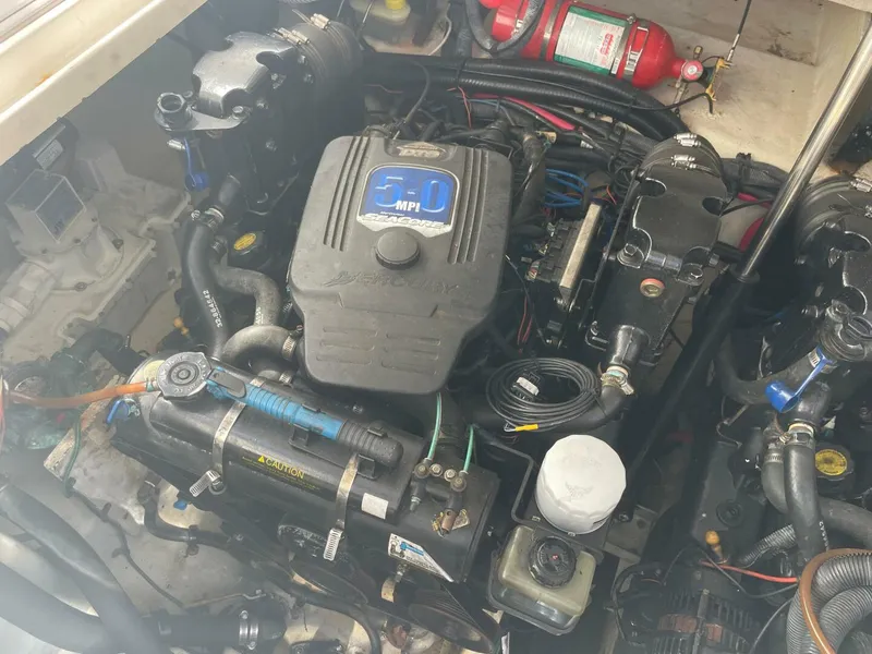 Slide: The Image of Sea Ray 290 Sundancer 2008 - 5691988