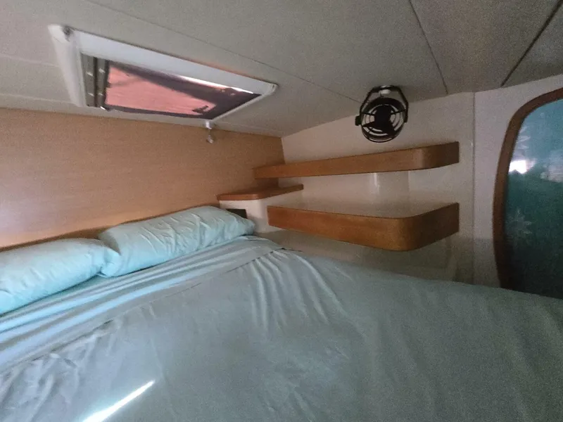 Slide: The Image of Robertson & Caine Leopard 2005 - 5714575