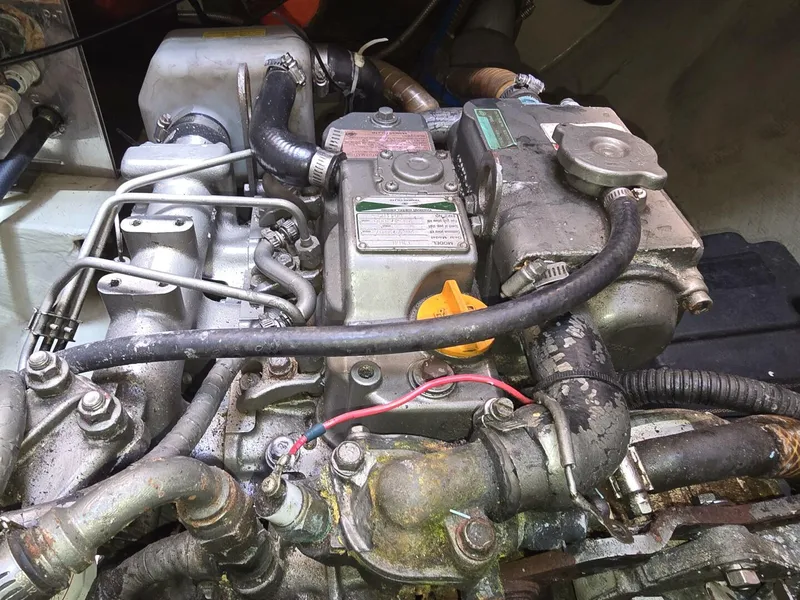 Slide: The Image of Robertson & Caine Leopard 2005 - 5714587