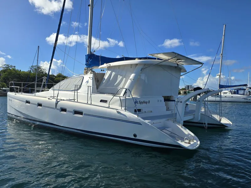 Slide: The Image of Robertson & Caine Leopard 2005 - 5714585