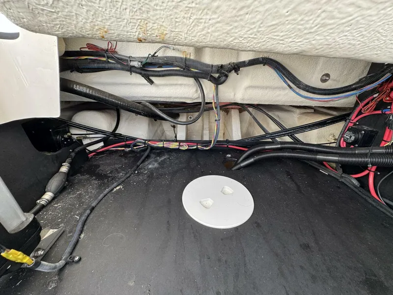 Slide: The Image of Regal 26 2021 - 5692785