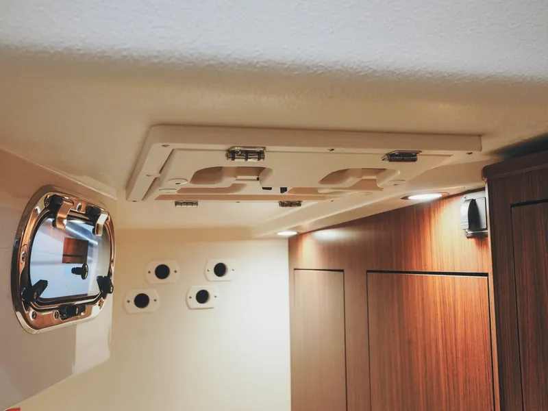 Slide: The Image of DSC03491EditedExport - 6005891