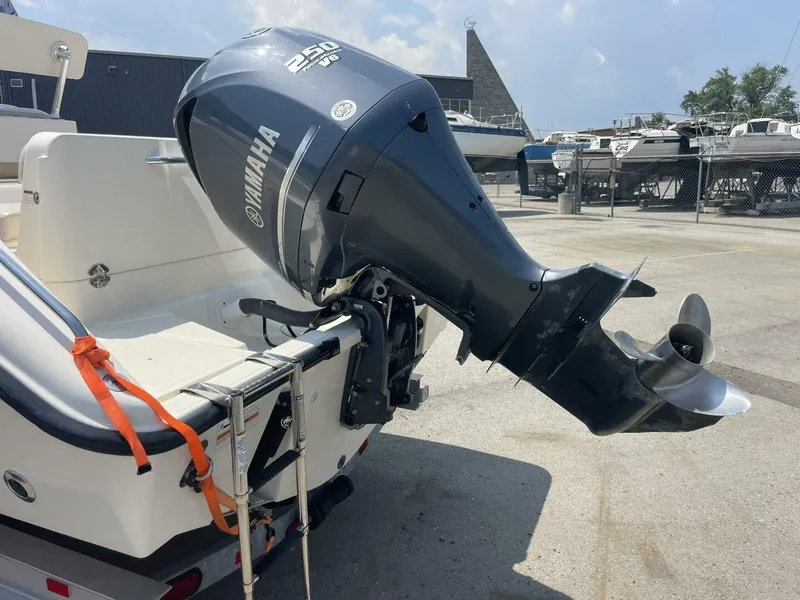 Slide: The Image of Pursuit 23 2013 - 5694630