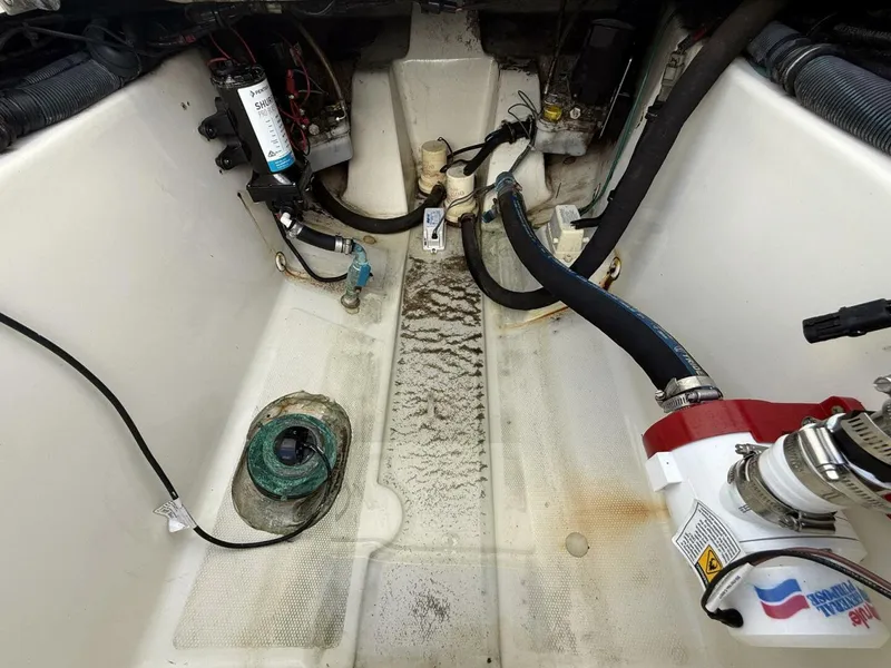 Slide: The Image of Hydra-Sports Vector 3300 CC 2007 - 5695082