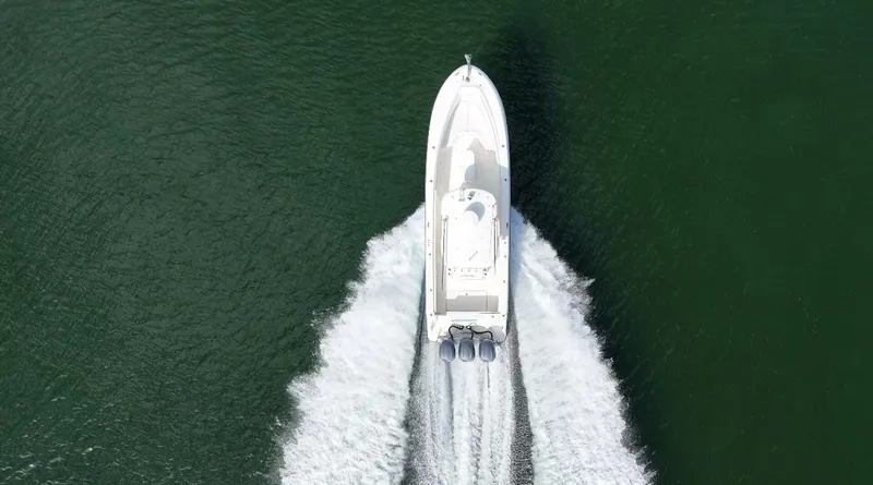 Slide: The Image of Hydra-Sports Vector 3300 CC 2007 - 5695059