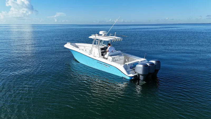 Slide: The Image of Hydra-Sports Vector 3300 CC 2007 - 5695061