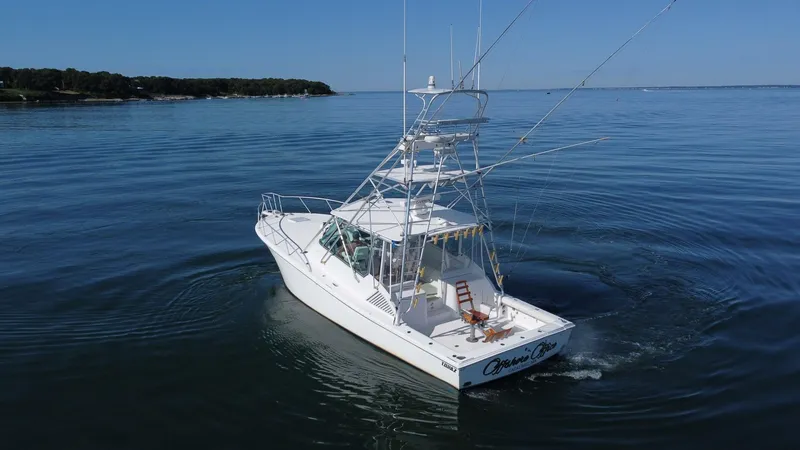 Slide: The Image of Topaz 40 Express 2007 - 5695428