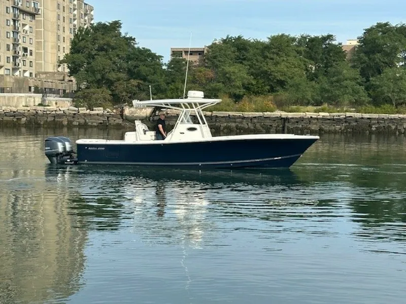 The Image of Regulator Marine 31 2017 - 5696232