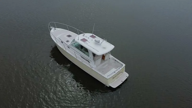 Slide: The Image of 0005408651 - 5696667