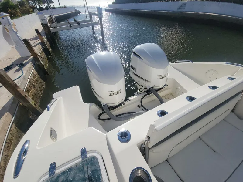 Slide: The Image of Pursuit 326 DC 2021 - 5697737