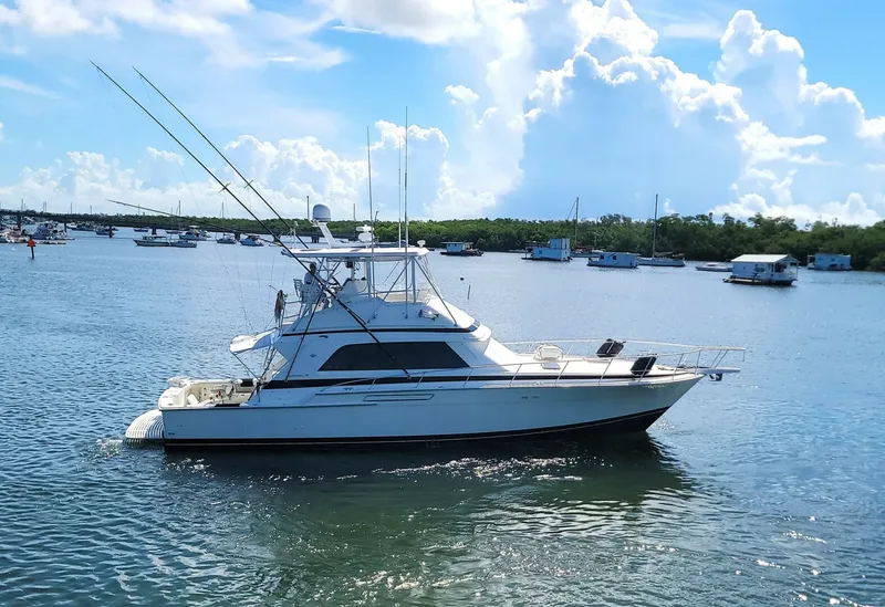 The Image of Bertram 50 Convertible 1989 - 5697909