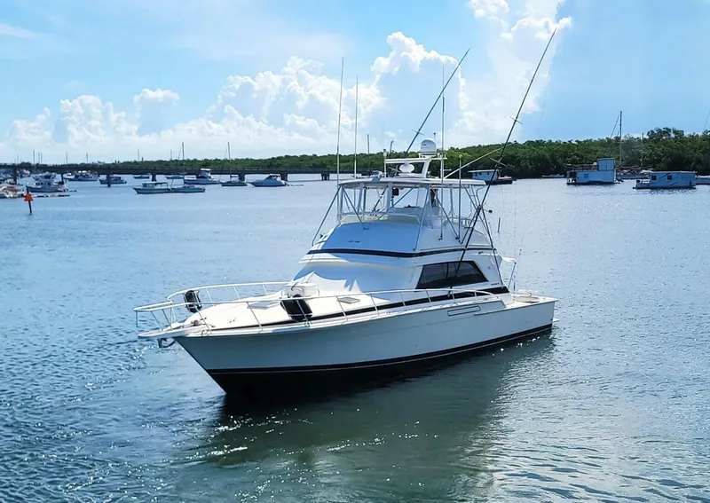 Slide: The Image of Bertram 50 Convertible 1989 - 5697913