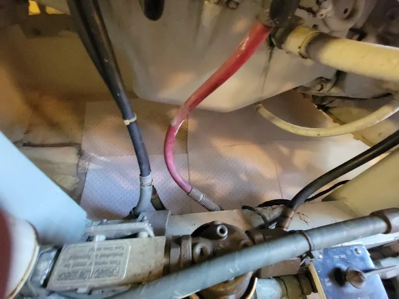 Slide: The Image of Bertram 50 Convertible 1989 - 5697997