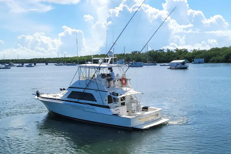 Slide: The Image of Bertram 50 Convertible 1989 - 5698025