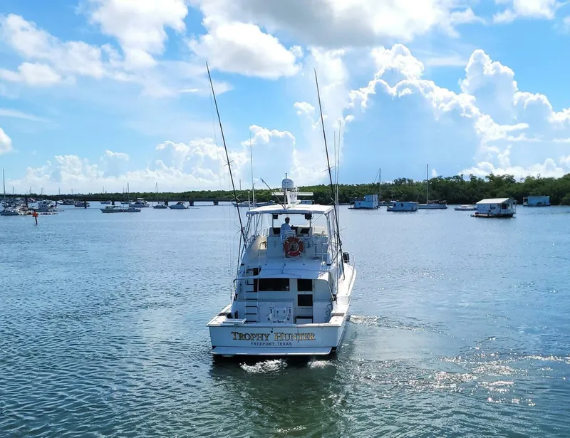 Slide: The Image of Bertram 50 Convertible 1989 - 5698026