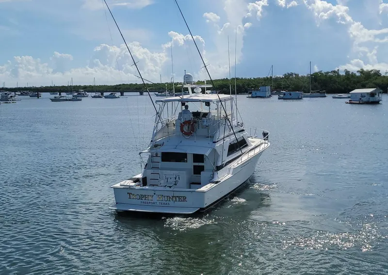 Slide: The Image of Bertram 50 Convertible 1989 - 5698028