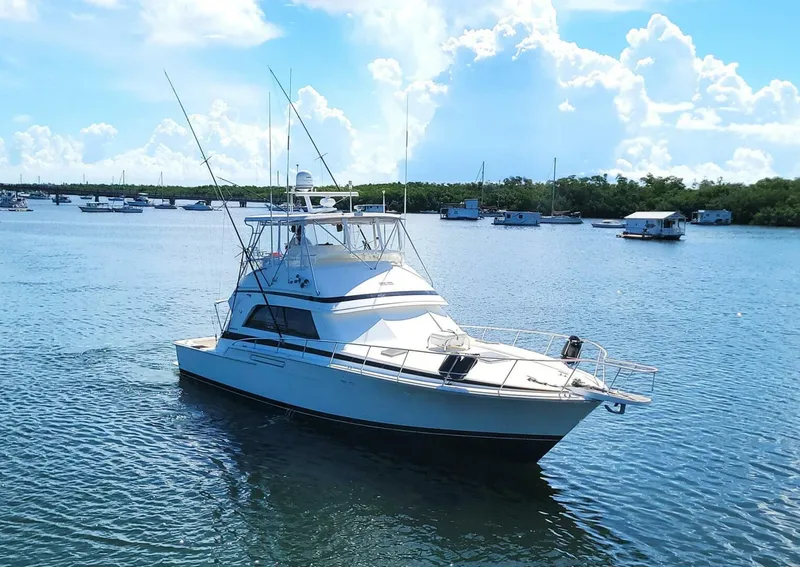 Slide: The Image of Bertram 50 Convertible 1989 - 5698035