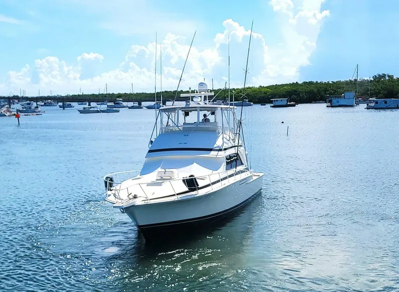 Slide: The Image of Bertram 50 Convertible 1989 - 5698036