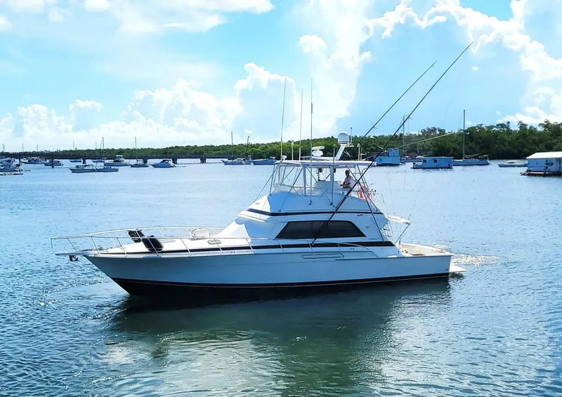 Slide: The Image of Bertram 50 Convertible 1989 - 5698038