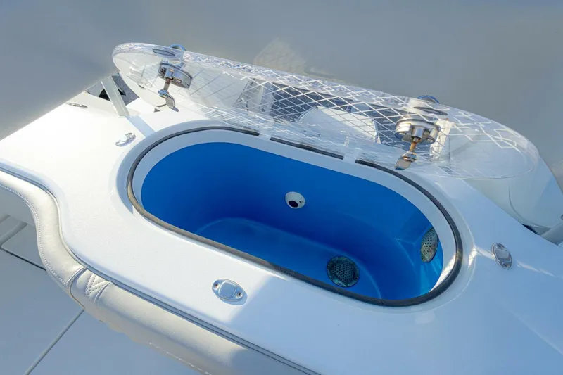 Slide: The Image of Freeman 29 2025 - 5839050