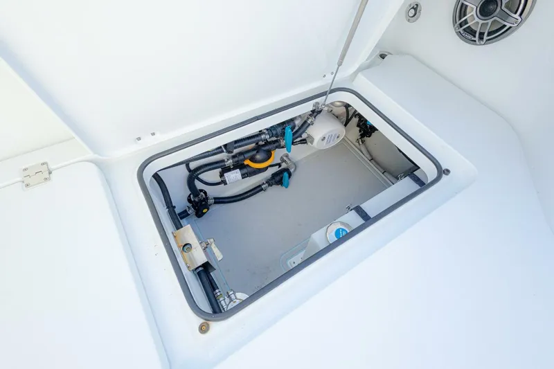 Slide: The Image of Freeman 29 2025 - 5839051