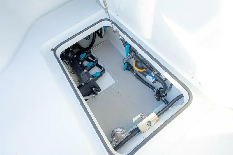 Slide: The Image of Freeman 29 2025 - 5839052