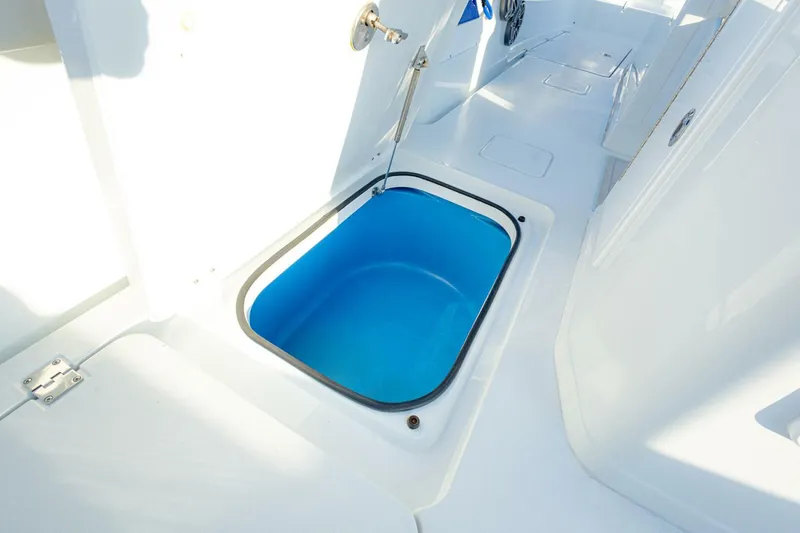 Slide: The Image of Freeman 29 2025 - 5839053