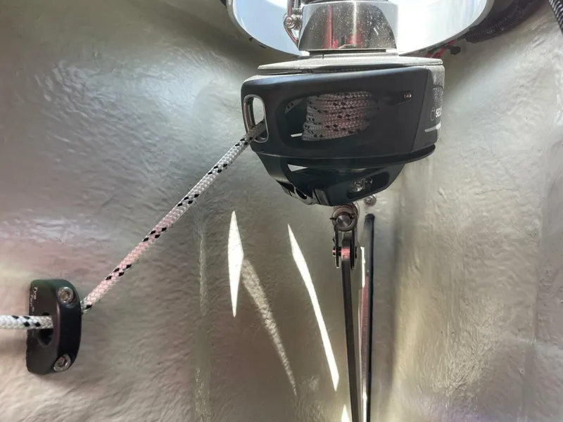 Slide: The Image of Saffier 33 Life 2022 - 5701460