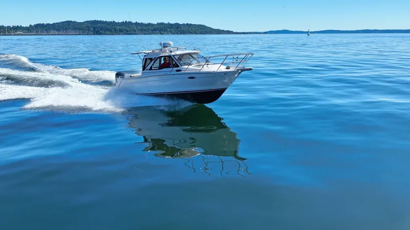 Slide: The Image of Cutwater 30 2024 - 5707259