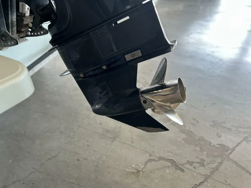 Slide: The Image of Boston Whaler 17 2020 - 5703423