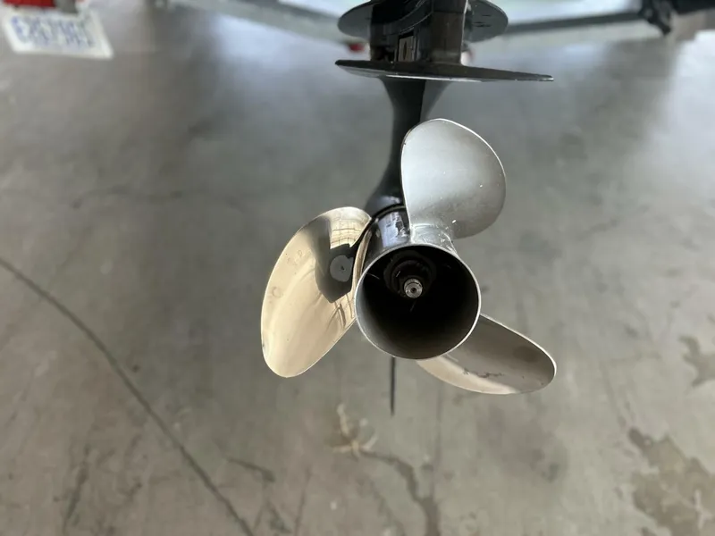 Slide: The Image of Boston Whaler 17 2020 - 5703424