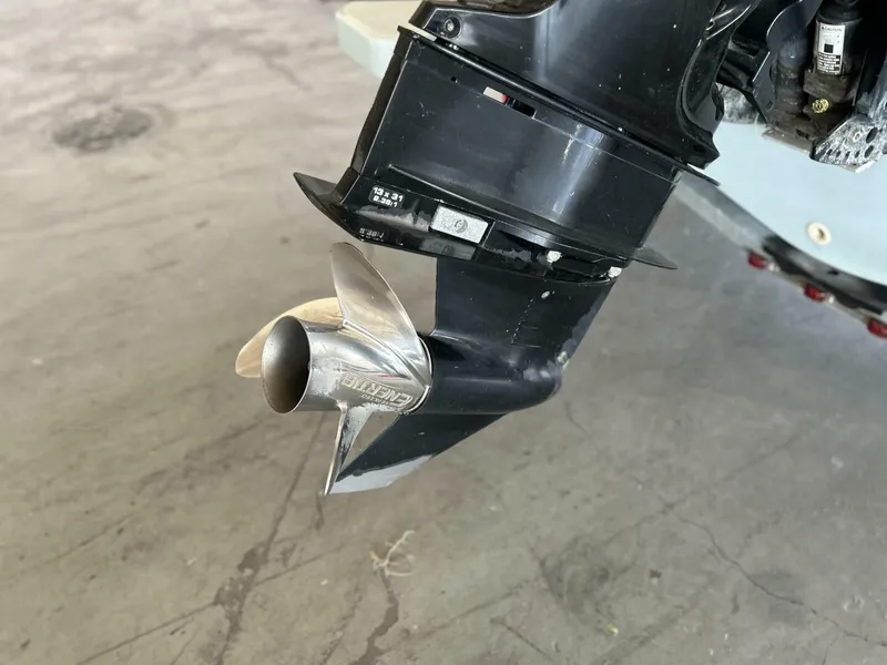 Slide: The Image of Boston Whaler 17 2020 - 5703425