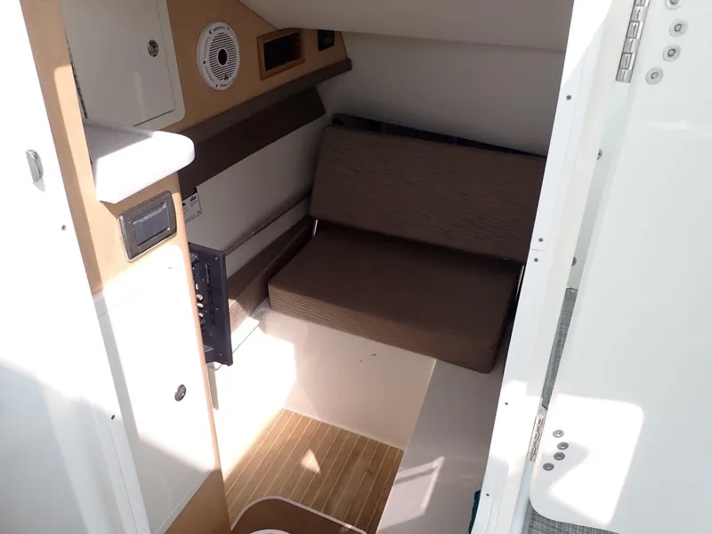 Slide: The Image of World Cat 32 DC 2022 - 5705026