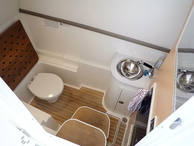 Slide: The Image of World Cat 32 DC 2022 - 5705027