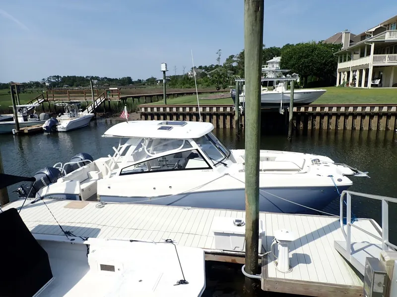 Slide: The Image of World Cat 32 DC 2022 - 5705035