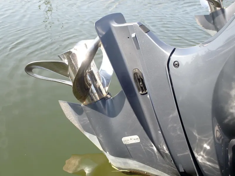 Slide: The Image of World Cat 32 DC 2022 - 5705009