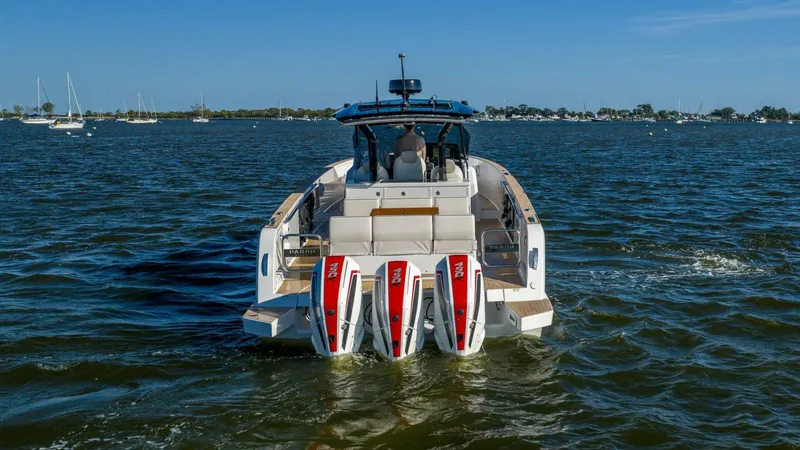 Slide: The Image of Pardo 38 2025 - 5705244