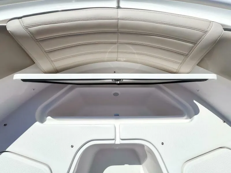 Slide: The Image of Edgewater 325CC 2025 - 5708372