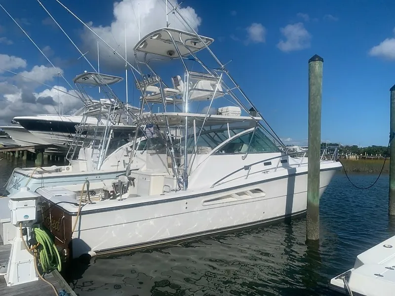 The Image of Rampage 38 Express 2006 - 5708537