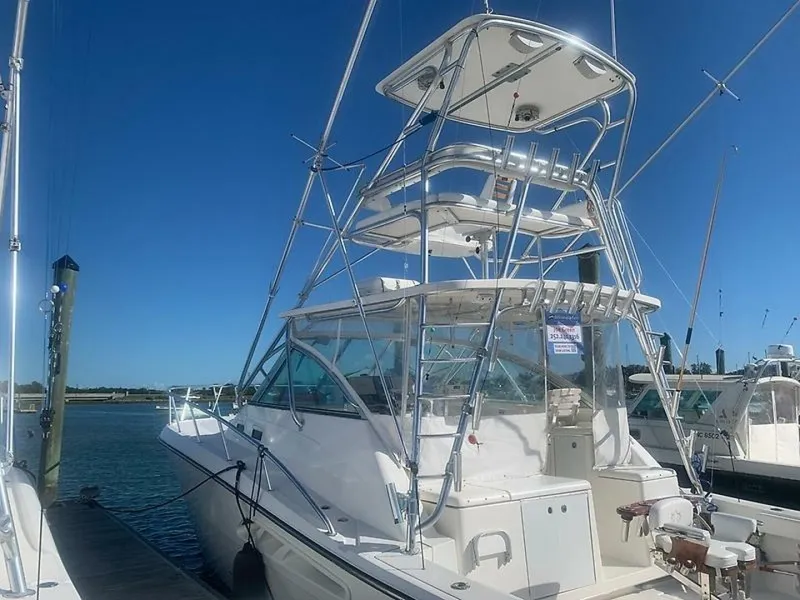 Slide: The Image of 0005417905 - 5708616